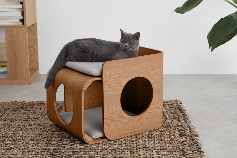 Où trouver des accessoires pour chiens et chats chics et design