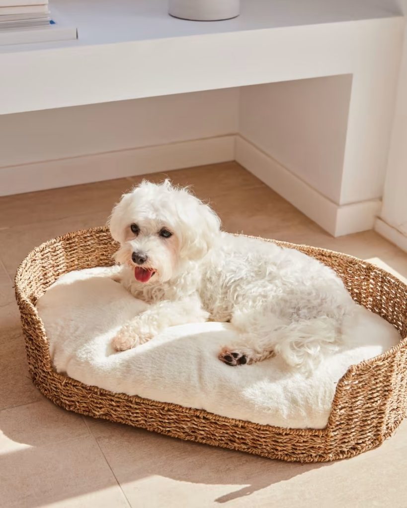 PANIER POUR PETIT CHIEN OU CHAT – Tishka Home - Décoration bohème