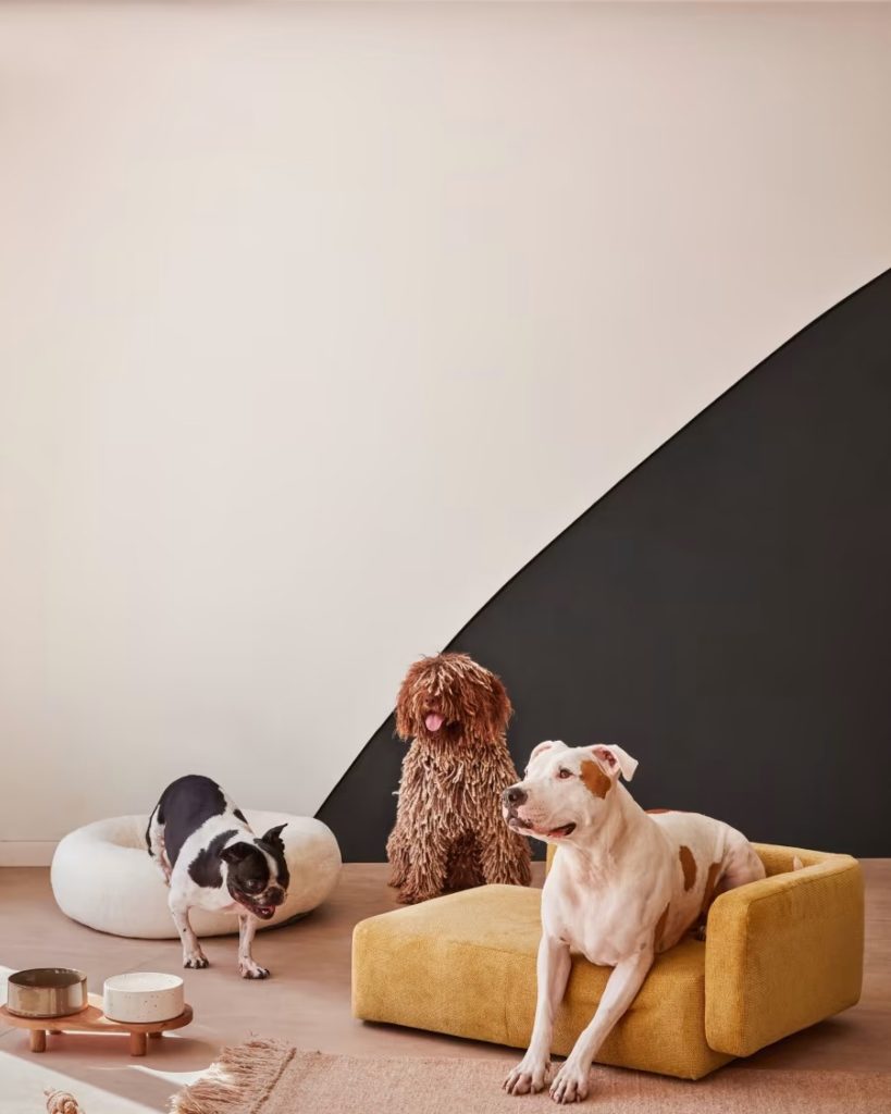 Paniers déco et design pour chiens et chats : notre sélection tendance -  NuageDeco