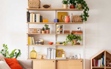 deco-maison-plantes-vertes