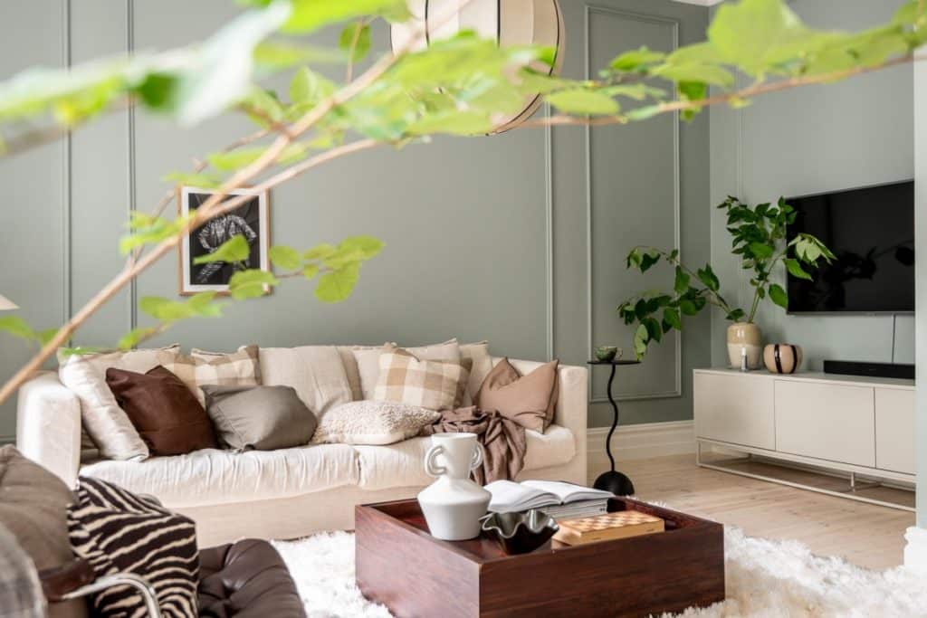 salon-scandinave