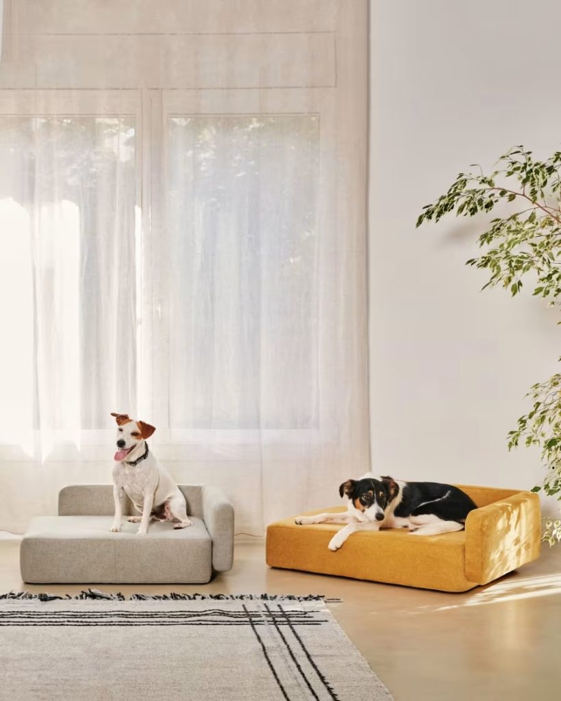 canape-design-chien