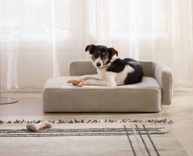 panier-chien-kave-home-design