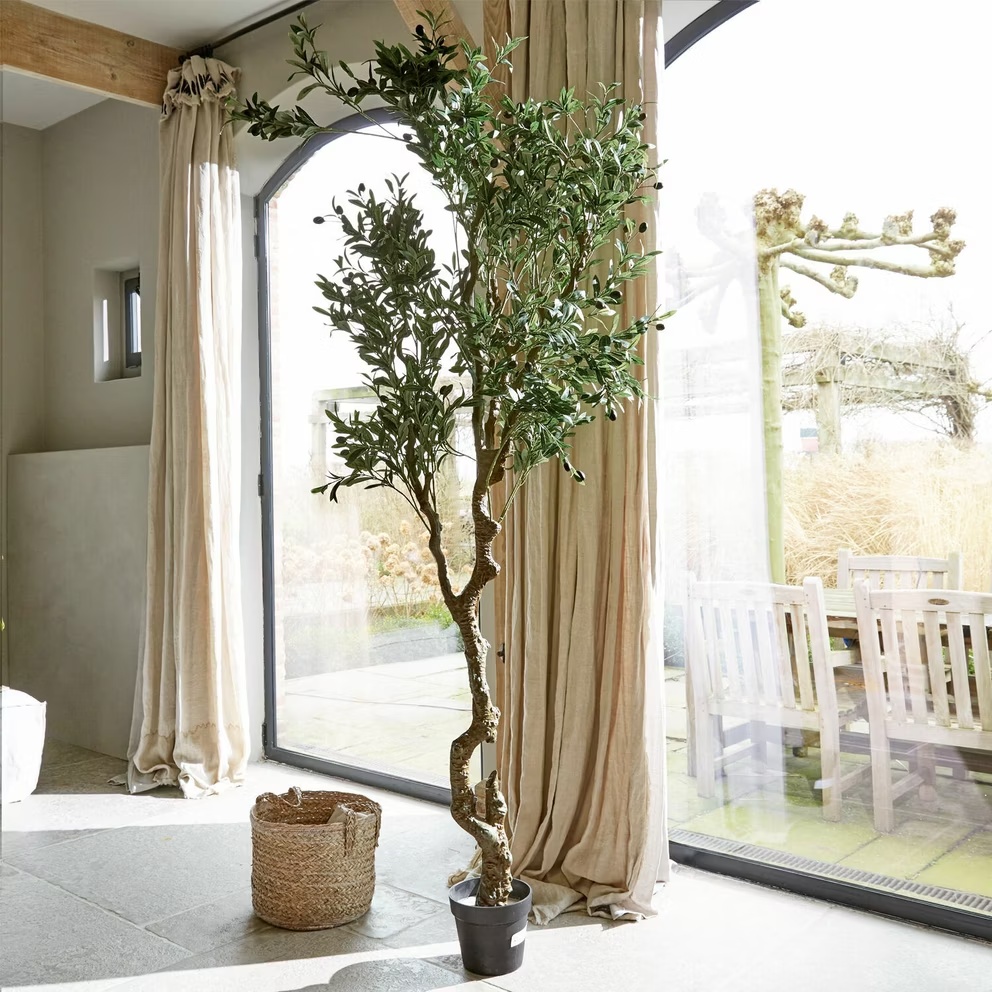 plante-deco-faux olivier