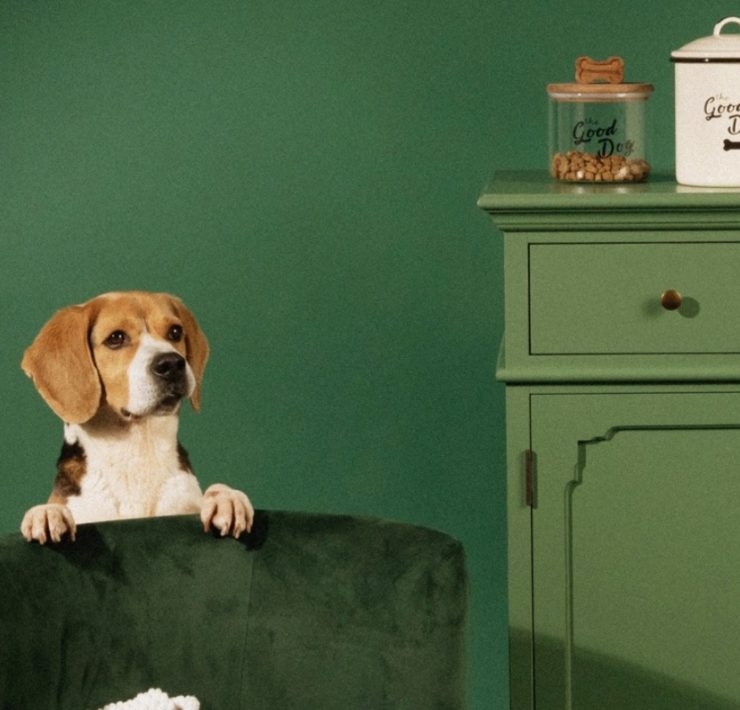 collection-maisons-monde-animaux-maisons
