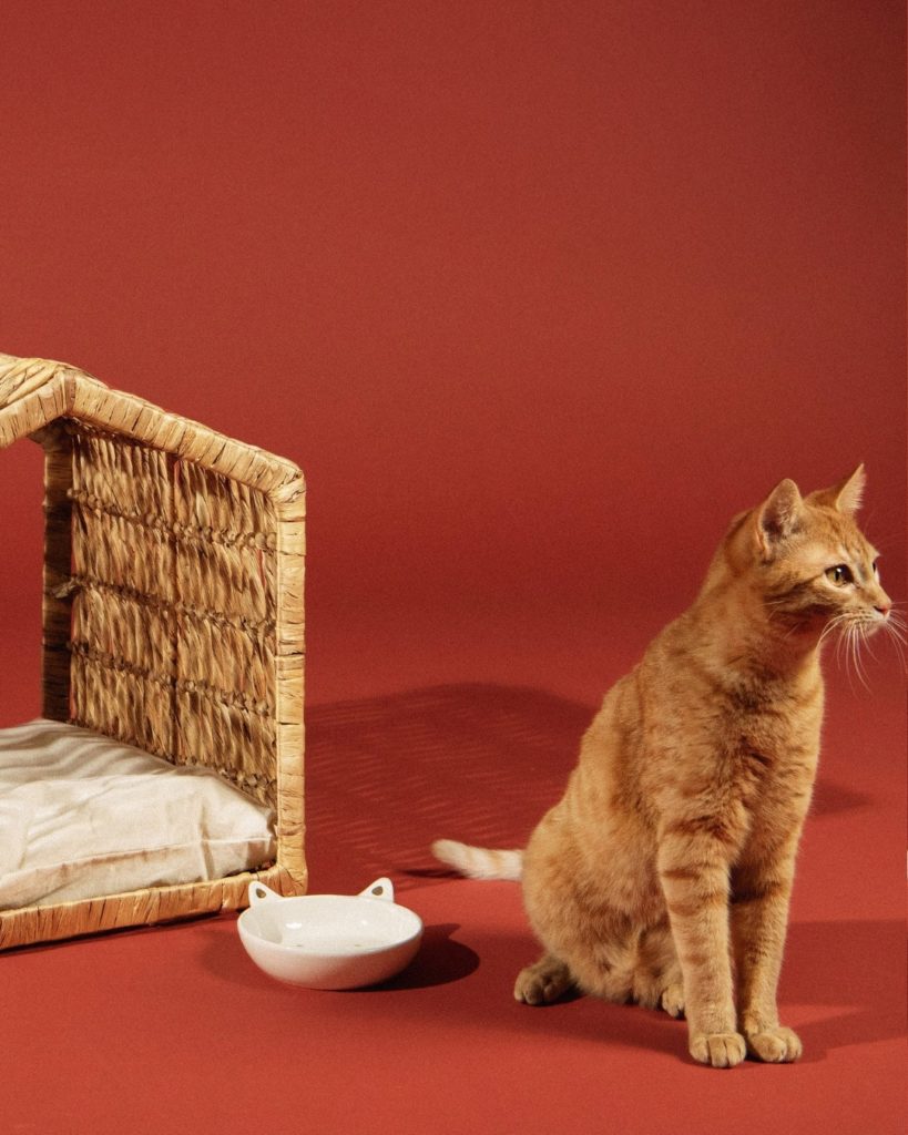 panier-chat-maisons-monde