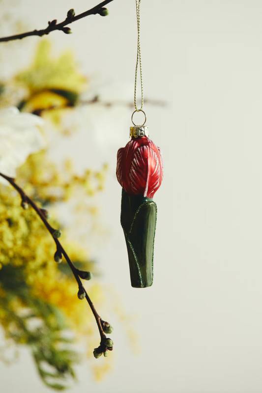 tulipe-deco-hm