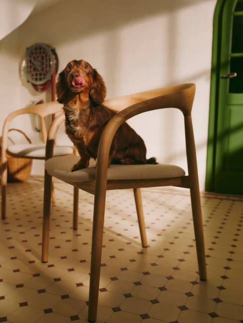 chaise-bois-clair-camille