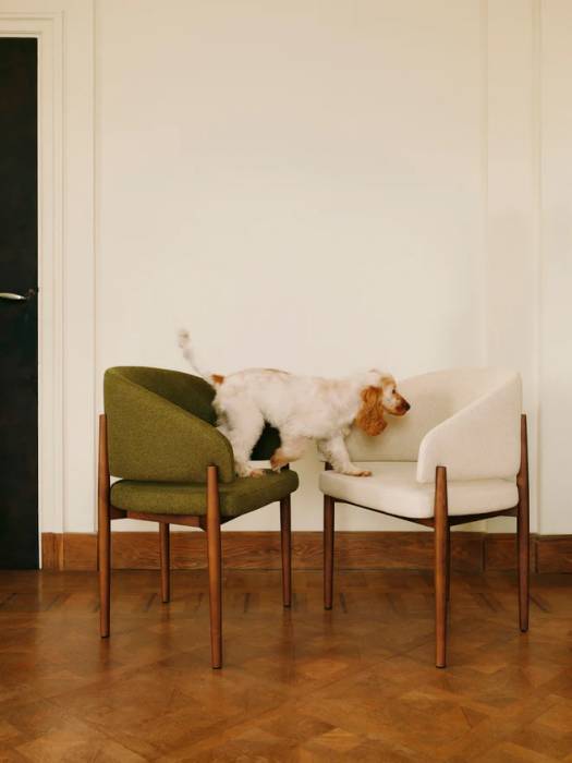 chaises-accoudoirs-nemp