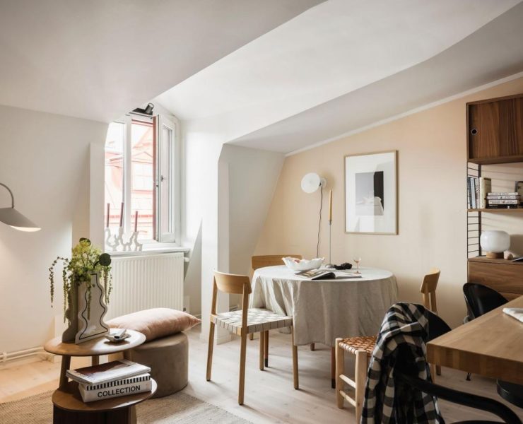 appartement-mansarde