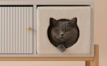 panier-chat-case-meuble