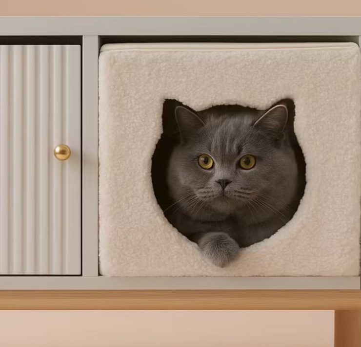 panier-chat-case-meuble