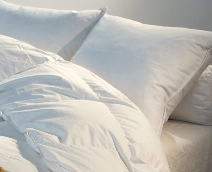 choisir-oreiller-plume-oie