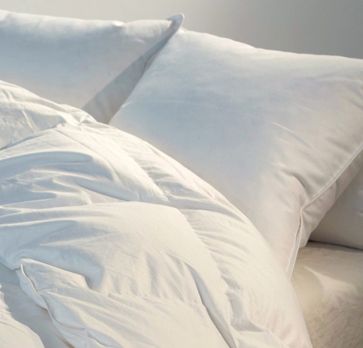 choisir-oreiller-plume-oie