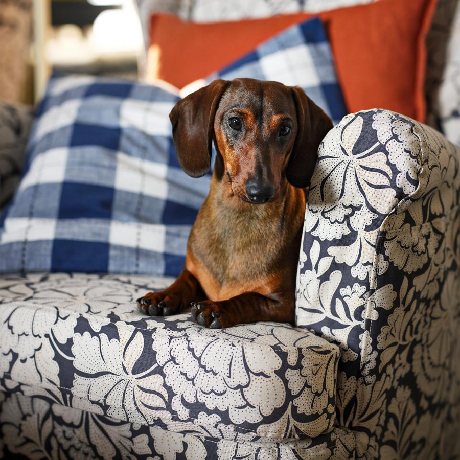 ikea-collection-janvier-2026-12