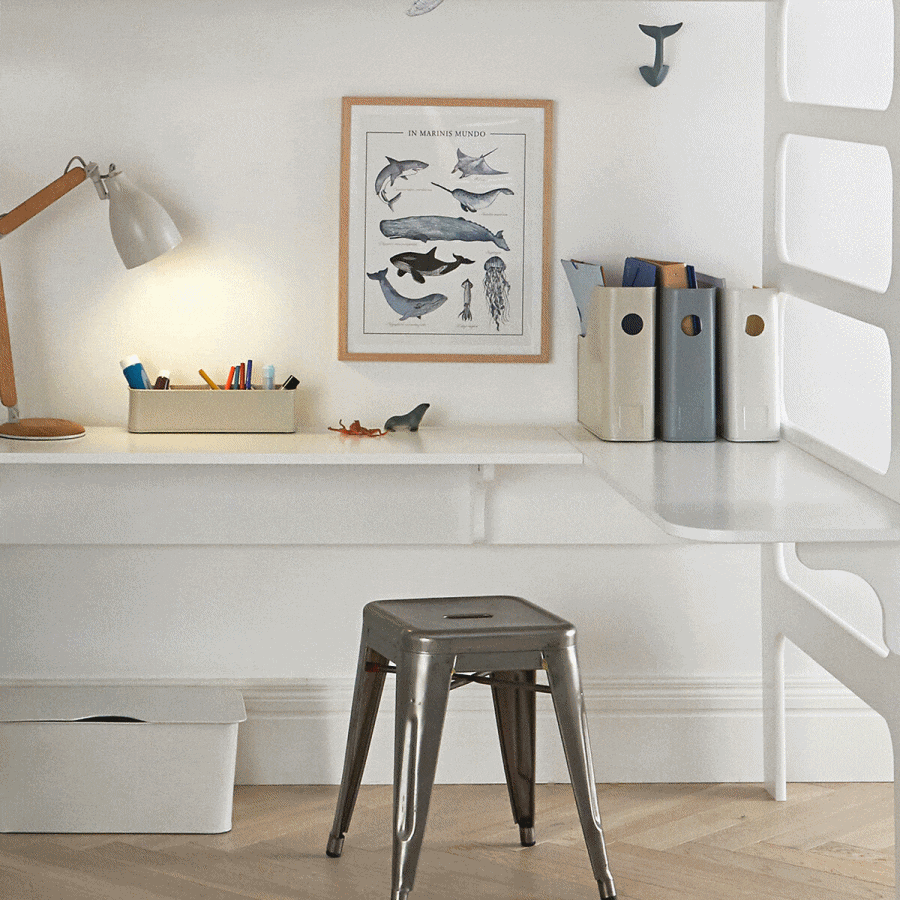 patere-queue-baleine