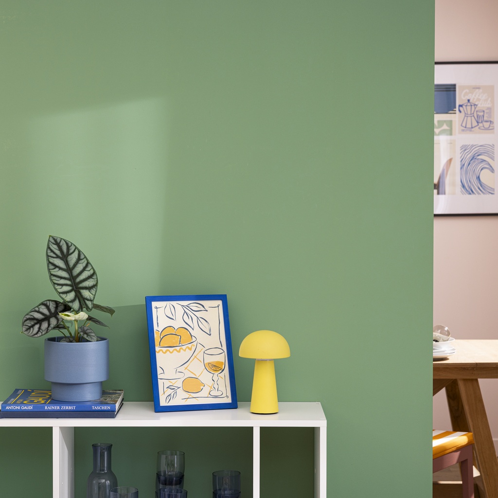 leroy-merlin-couleur-annee-2026-peinture-vert