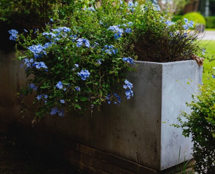 jardiniere-beton-fabriquer
