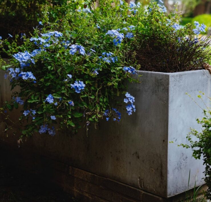 jardiniere-beton-fabriquer
